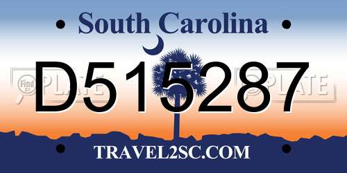 D515287 South Carolina License Plate