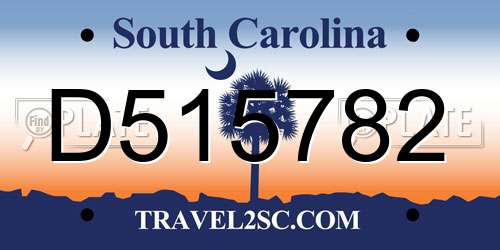 D515782 South Carolina License Plate