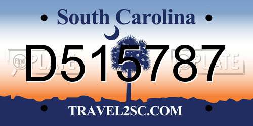 D515787 South Carolina License Plate