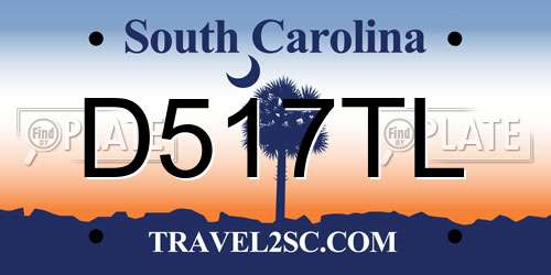 D517TL South Carolina License Plate