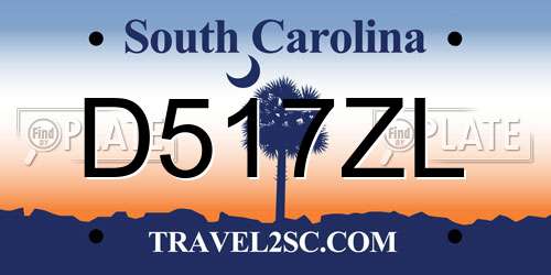D517ZL South Carolina License Plate