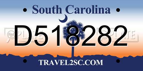 D518282 South Carolina License Plate