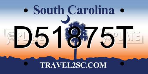 D51875T South Carolina License Plate