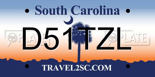D51TZL South Carolina License Plate