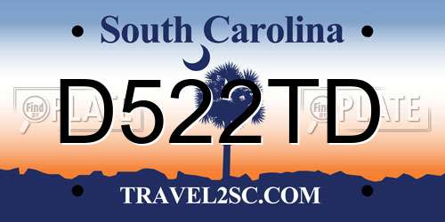 D522TD South Carolina License Plate