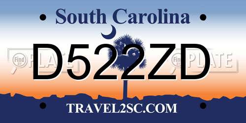 D522ZD South Carolina License Plate