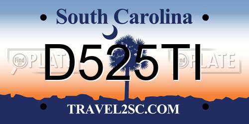 D525TI South Carolina License Plate