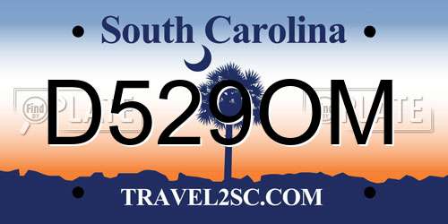 D529OM South Carolina License Plate