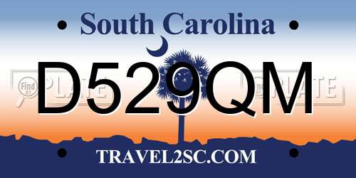 D529QM South Carolina License Plate