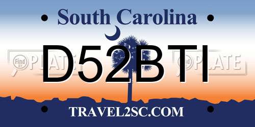 D52BTI South Carolina License Plate