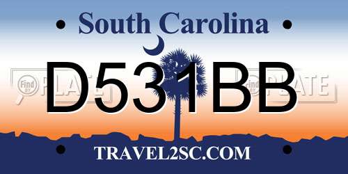 D531BB South Carolina License Plate