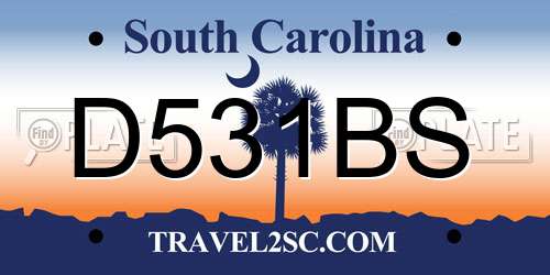 D531BS South Carolina License Plate