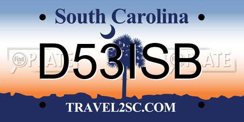 D53ISB South Carolina License Plate