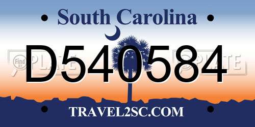 D540584 South Carolina License Plate