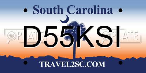 D55KSI South Carolina License Plate