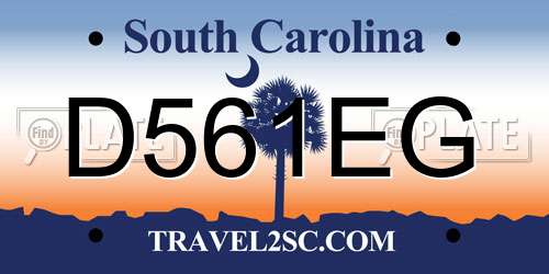 D561EG South Carolina License Plate