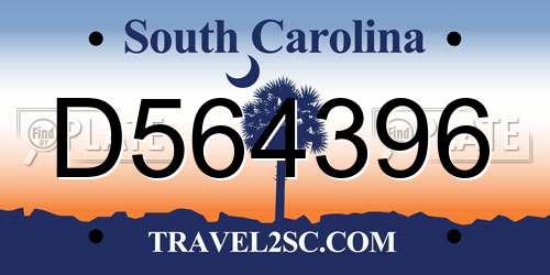 D564396 South Carolina License Plate