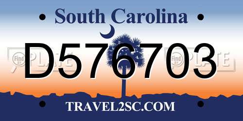 D576703 South Carolina License Plate