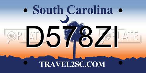 D578ZI South Carolina License Plate