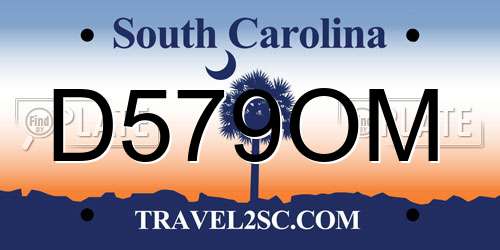 D579OM South Carolina License Plate