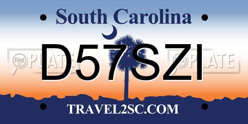 D57SZI South Carolina License Plate