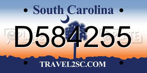 D584255 South Carolina License Plate