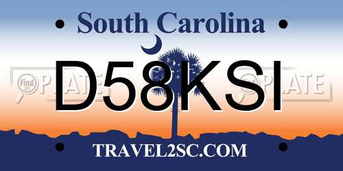 D58KSI South Carolina License Plate