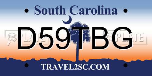D59TBG South Carolina License Plate