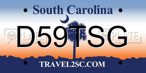 D59TSG South Carolina License Plate