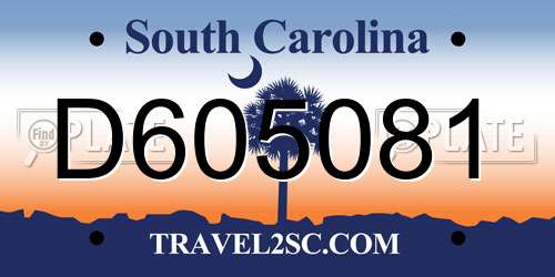 D605081 South Carolina License Plate