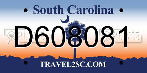 D608081 South Carolina License Plate