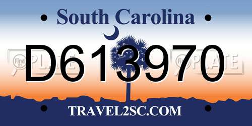 D613970 South Carolina License Plate
