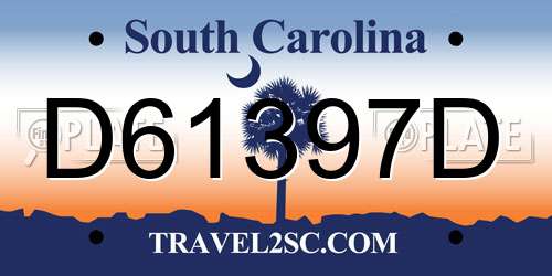 D61397D South Carolina License Plate