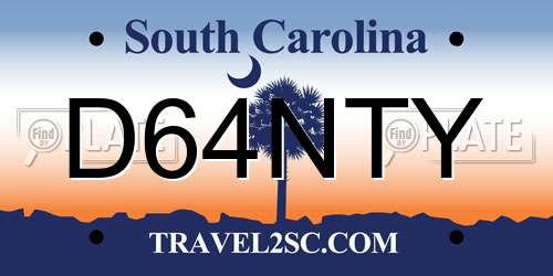 D64NTY South Carolina License Plate