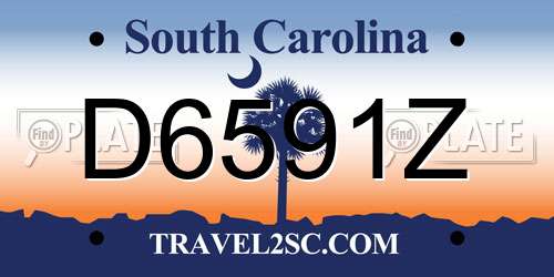 D6591Z South Carolina License Plate