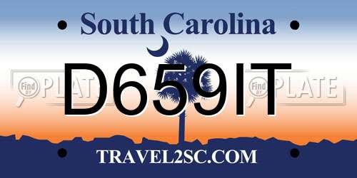 D659IT South Carolina License Plate