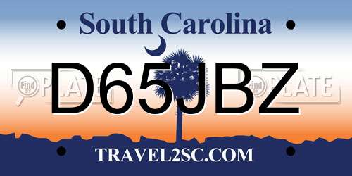 D65JBZ South Carolina License Plate