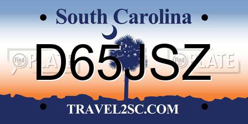 D65JSZ South Carolina License Plate