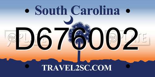 D676002 South Carolina License Plate