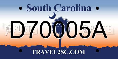 D70005A South Carolina License Plate