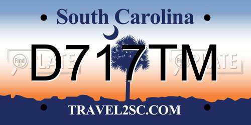 D717TM South Carolina License Plate