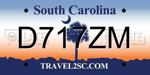 D717ZM South Carolina License Plate