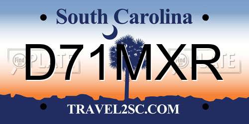 D71MXR South Carolina License Plate