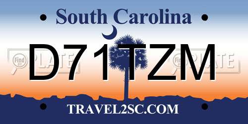 D71TZM South Carolina License Plate