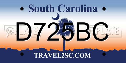 D725BC South Carolina License Plate