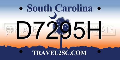 D7295H South Carolina License Plate