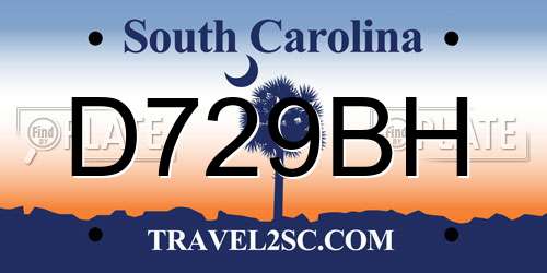 D729BH South Carolina License Plate