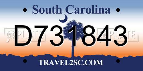 D731843 South Carolina License Plate