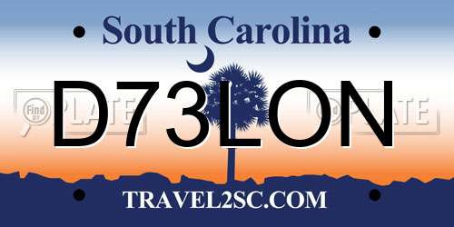 D73LON South Carolina License Plate