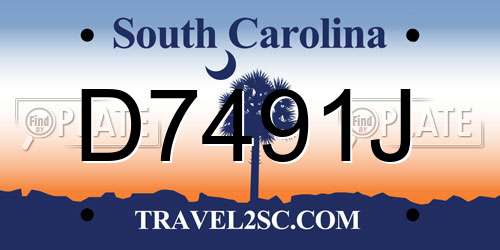 D7491J South Carolina License Plate
